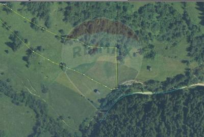Teren 12,127mp Frasin / Drumul Forestier Valea Seaca - 6