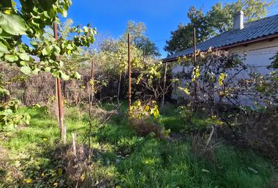 Valu lui Traian - teren 400 mp + casa 3 camere (72 mp ) /necesita renovare - 6