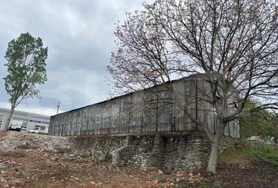 Doua hale industriale de vanzare, 390 mp + 216 mp, Calea Bucuresti - 3