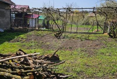 Casă individuală cu 3 camere cu Canalizare în Ceanu Mic - 13