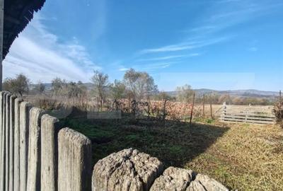 Casă cu 2 camere cu Teren 2100 Mp în Lupoaia - 2