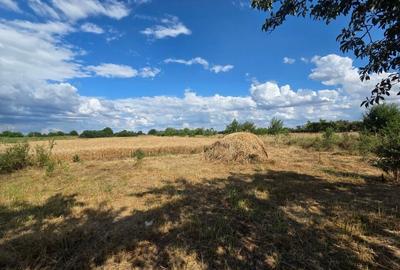 VANZARE 8000 MP. - STR. AUREL VLAICU - GAESTI - POSIBILITATE PARCELARE - 6