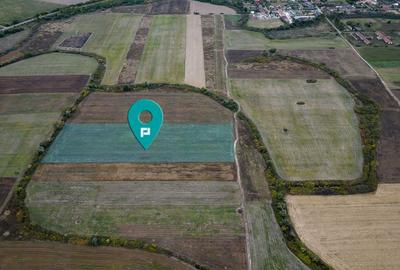 Teren de 34500 mp, în Albina - 6