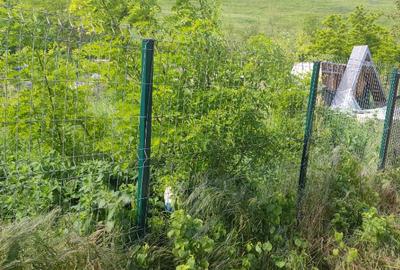 Teren 900 mp, intravilan, Popeni, com. Brae?ti.
