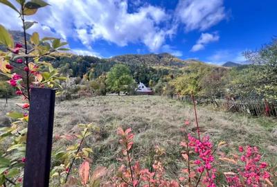 Spațiu comercial, în Hârja - 3