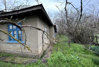 Casă cu 2 camere în Central - 4