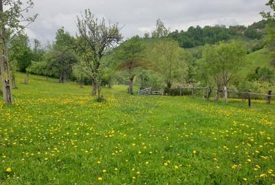 Teren intravilan, 1500 mp, Bran - 17