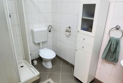 Spatiu industrial productie/ depozitare, Timiș - 25