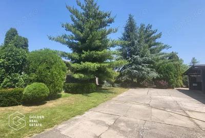 Vila cu potential in Chisoda - 2