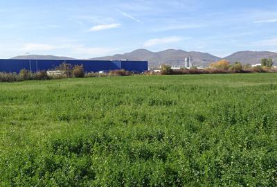 Vand teren intravilan in Deva suprafata totala 43 000 mp, zona Auchan - 4