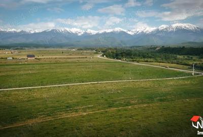 Teren de 5300 mp, în Central - 2