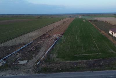 Teren Construcții intravilan de 12360 mp, în Boțârlău - 6