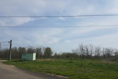 Teren 1.598mp, deschidere dubla, cea mare de 70ml, strada Arinilor, Gheraiesti - 4