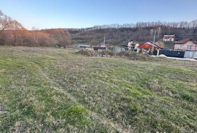 Teren de 500 mp, în Leamna de Sus - 2