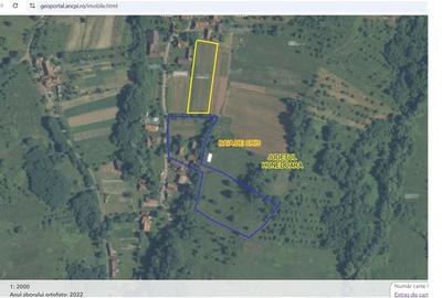 Teren intravilan cu potential, casa si anexe in Lunca - 12
