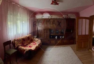 Casa traditionala+anexe gospodaresti in Giulesti Maramures - 7