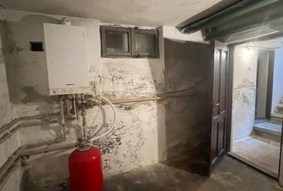 Villa Interblica - Parcul Carol Villa Interblica - Parcul Carol - 32