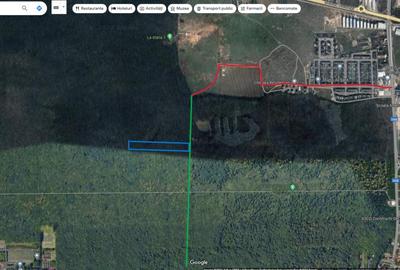 Teren Padure - 20.000mp - Scoala Americana - Pipera - 2