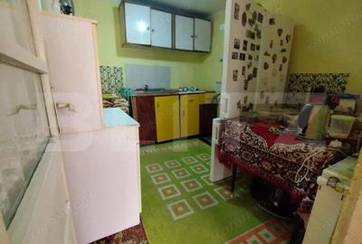 Casa individuala 5 camere, 198 mp, 250 mp teren, langa Parc - 10