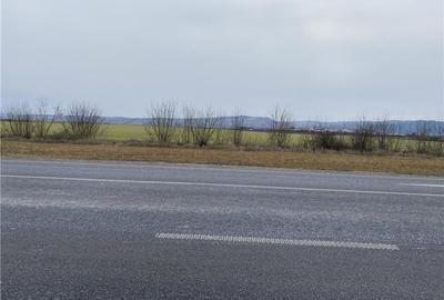 Teren de 8397 mp, în Central - 2