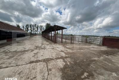 Spațiu comercial, de 12,599 mp, în Central - 11