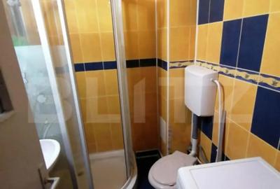 Apartament cu 4 camere decomandat în George Enescu - 11