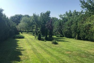 Casă individuală cu 6 camere cu Canalizare în Crevedia - 6