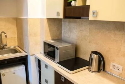 Romana,Metrou,parter/8,Amenajat,mobilat utilat complet,Pet Friendly - 5