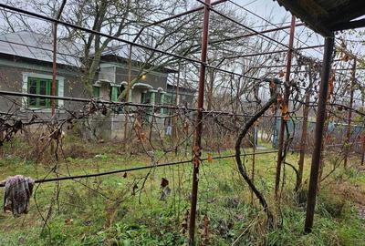 Gospodarie cu 2 case Comuna Trivale Mosteni, sat , la 30 km de Alexandria, jude?ul Teleorman - 1