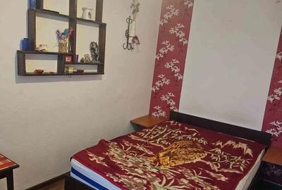 Apartament 3 camere - 7