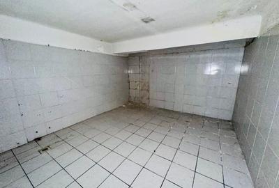 Armeneasca - Bd. Carol I stradal spatiu comercial 54 mp utili - 14