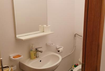 Apartament cu 3 camere decomandat în Nicolae Grigorescu - 9