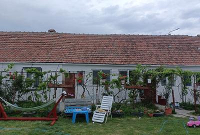 Casa cu teren in Cenei - 13