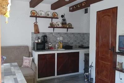 Casă cu 2 camere în Lăpuștești - 10
