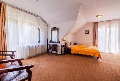 FILM! Pensiune turistica+Casa+transfer afacere+2000 mp teren,Cheile Rasnoavei,Br - 15