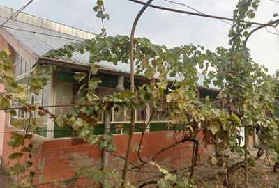 Vand casa in Com, Ostroveni, jud Dolj - 5