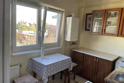 Proprietar inchiriez apt. 1 camera B-dul Coposu - 3