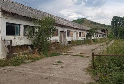 Casă cu 5 camere în Central - 2