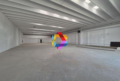 Spațiu industrial, de 500 mp, în Astra - 2