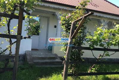 Casă cu 2 camere cu Teren 2000 Mp în Băbana - 20