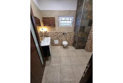 Casă individuală cu 8 camere cu Teren 355 Mp în Colentina - 19