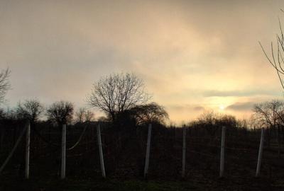 Casă cu 4 camere cu Teren 1200 Mp în Central - 9