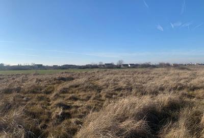 Teren pentru duplex in Sacalaz - 600 mp, in Spatele Cartierului Primaverii - 6