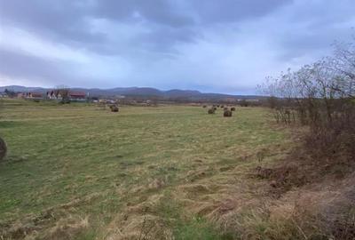 Teren Construcții extravilan de 5087 mp, în Sud-Vest - 2