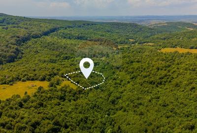Teren Construcții intravilan de 6572 mp, în Grid - 1