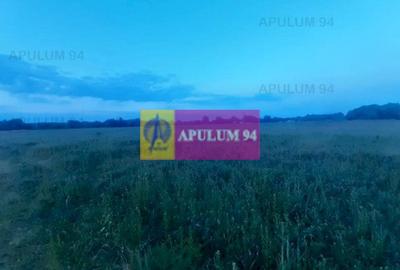 Teren Construcții intravilan de 3820 mp, în 1 Decembrie - 21