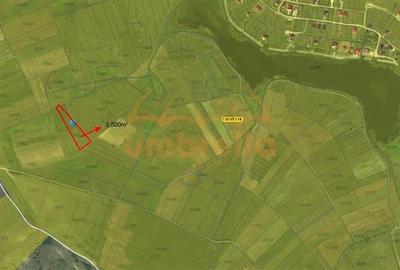 Teren de vanzare intravilan 5.800/? Chinteni - 3