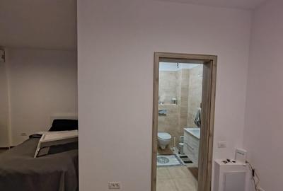 Garsoniera - Biruintei - Curte proprie - 10