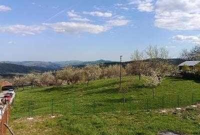 Teren de 2000 mp, în Talea - 2