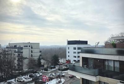 Etaj integral | 2 Penthouse-uri unite | 340 mp | Iancu Nicolae - 24